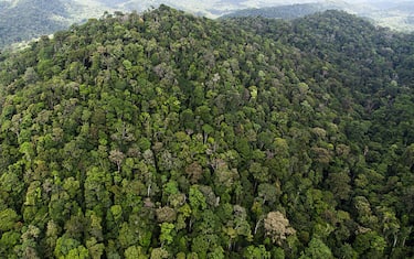 Getty_Images_Giungla_Guyana_Francese
