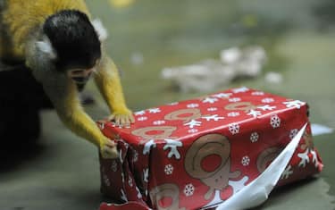 Getty_Images_Regali_Natale
