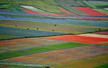 GettyImages-AmbienteItalia