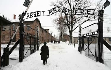 auschiwitz_auschwitz_12