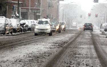 bologna_neve