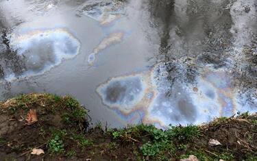 FIUME DI PETROLIO SVERSATO NEL LAMBRO