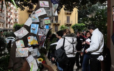 albero_falcone