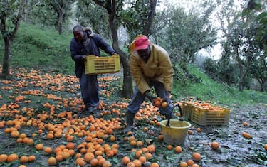 rosarno_lavoratori_immigrati