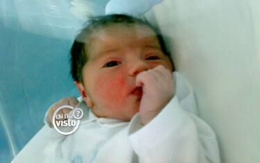 luca_cioffi