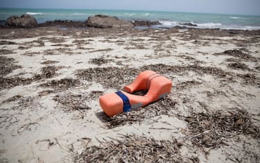 migranti