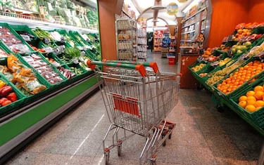 carrello_spesa_consumi
