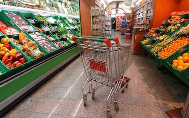 consumi_spesa_crisi