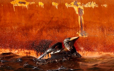 Mare nero, quando il petrolio terrorizza le coste