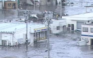 terremoto_giappone_08