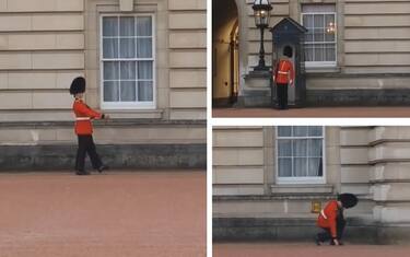 guardia_buckingham