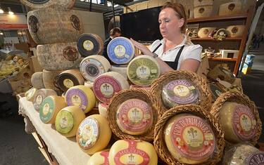 Getty_Images_Formaggi