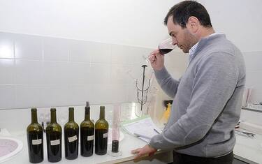 La proprensione all'alcol? Potrebbe dipendere dai geni