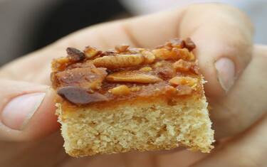 getty_images_-_insetti_food
