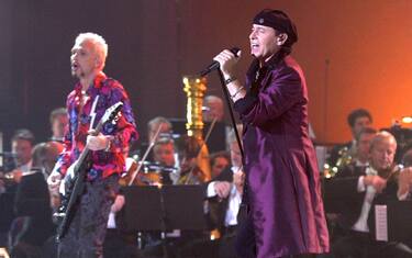 scorpions
