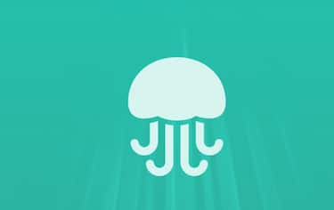 jelly
