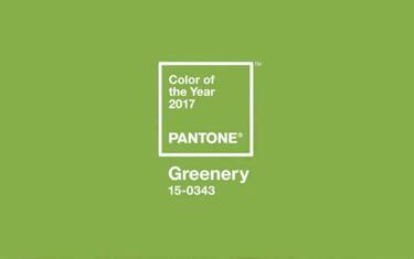 colore_greenery_pantone_2