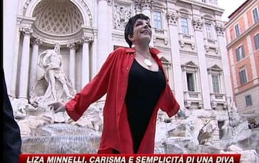 IMG_LIZAMINNELLI_548x345