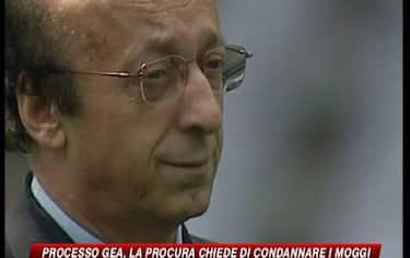 IMG_moggi18_548x345