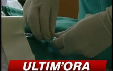 IMG_EUTANASIA18_548x345