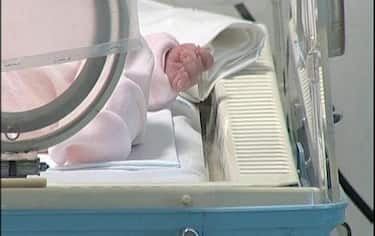 IMG_NEONATOTREVISO6_548x345