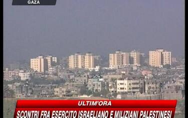 IMG_GAZATREGUAVIOLATA8_548x345