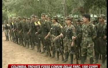 IMG_FARC6_548x345