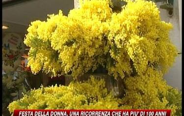 IMG_8MARZO07_548x345
