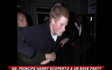 IMG_HARRY12_548x345