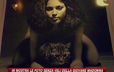 IMG_madonna09_548x345