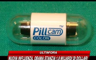 IMG_COLON22_548x345