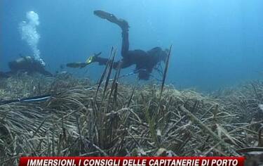IMG_SUB_548x345