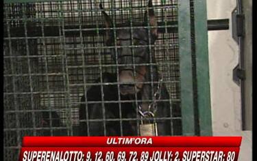 IMG_ACIREALE20_548x345