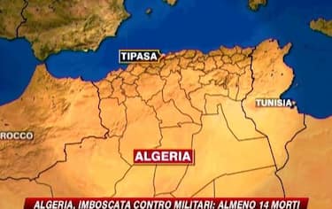 IMG_ALGERIAGRAF_548x345