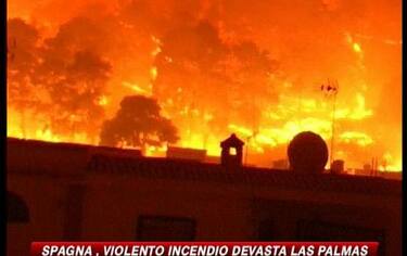 IMG_LASPALMAS_548x345