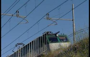 IMG_AVERSA9_548x345