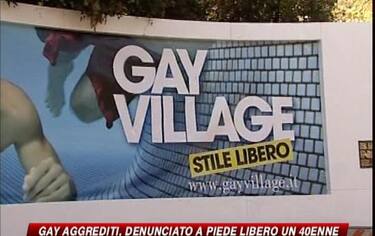 IMG_GAYTONIA16_548x345