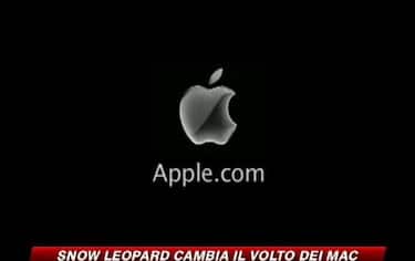 IMG_NOTIZIE1_548x345