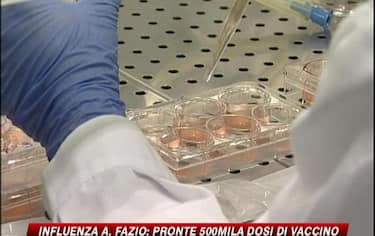 IMG_INFLUENZA_548x345