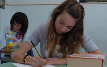 scuola_brick_riforma_licei
