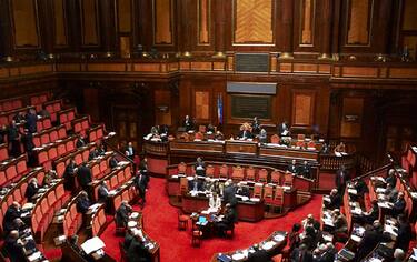 senato-fuori