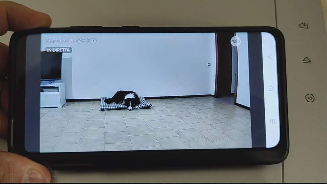 Telecamera da interni Yale