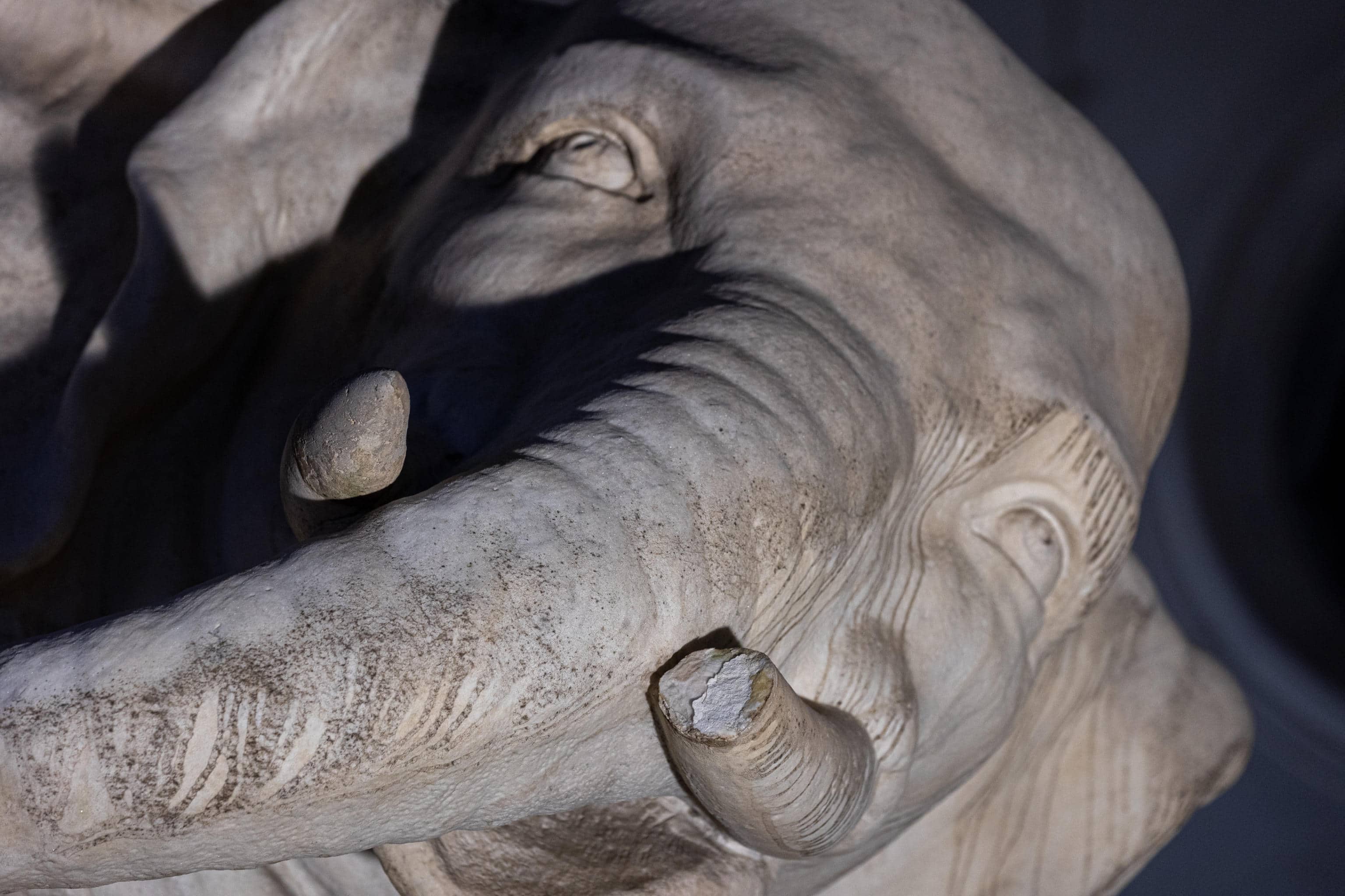 Spezzata una zanna dell'elefantino in marmo alla base dell'obelisco in piazza della Minerva, al centro di Roma. La celebre scultura del Bernini era già stata danneggiata in passato, 17 febbraio 2026, ANSA / MASSIMO BARSOUM

A tusk was broken from the marble elephant at the base of the obelisk in Piazza della Minerva, in central Rome. Bernini's famous sculpture had already been damaged in the past. February 17, 2026, ANSA / MASSIMO BARSOUM