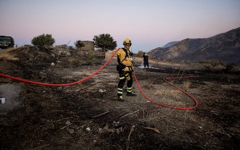 IPA87103111 - CRETE, July 30, 2026  Firefighters take part in firefighting operations in Rethymno on the island of Crete, Greece, July 29, 2026. Two firefighters lost their lives while battling a fast-moving wildfire in Rethymno on the Greek island of Crete on Wednesday, as gale-force winds fueled the blaze across a front stretching more than 15 kilometers. (Credit Image: Â© Rapanis Spiros/Xinhua via ZUMA Press)