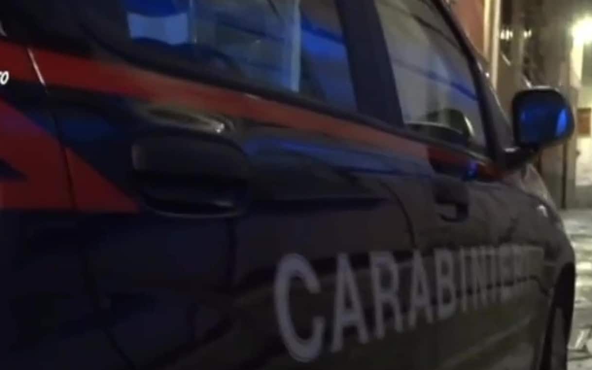 Resti di cani morti trovati nelle Marche, indagato un uomo