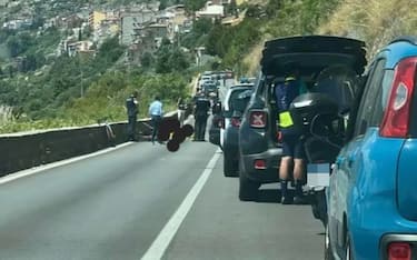 AUTO TRAVOLGE UN GRUPPO DI CICLISTI, MUORE UNA DONNA