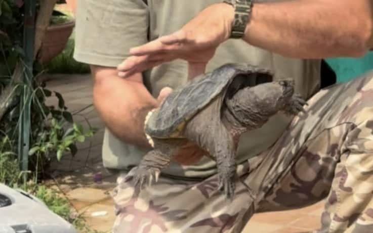 Foto Instagram Etologo Andrea Lunerti 