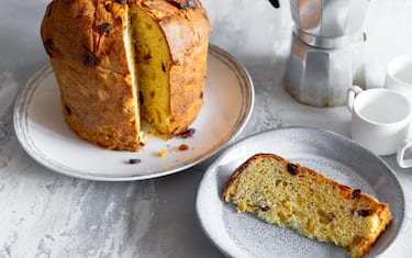 Panettone