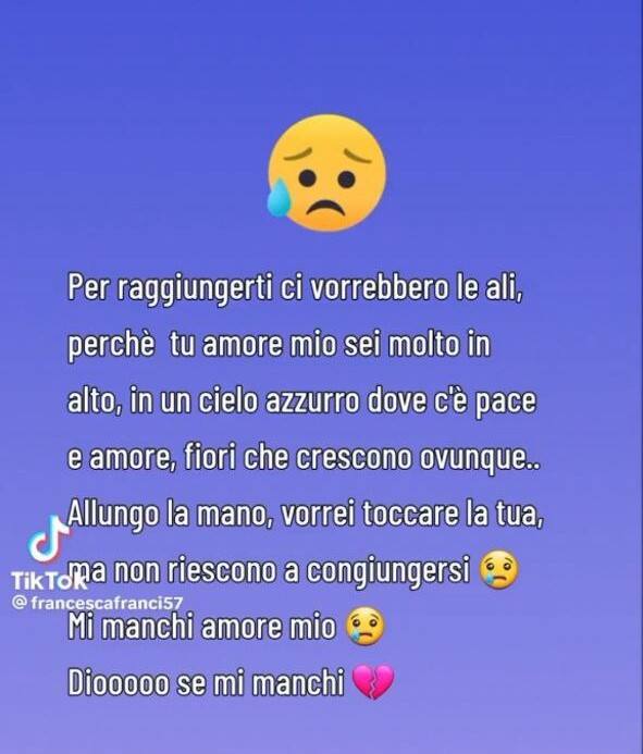 Messaggio Fascina a Berlusconi