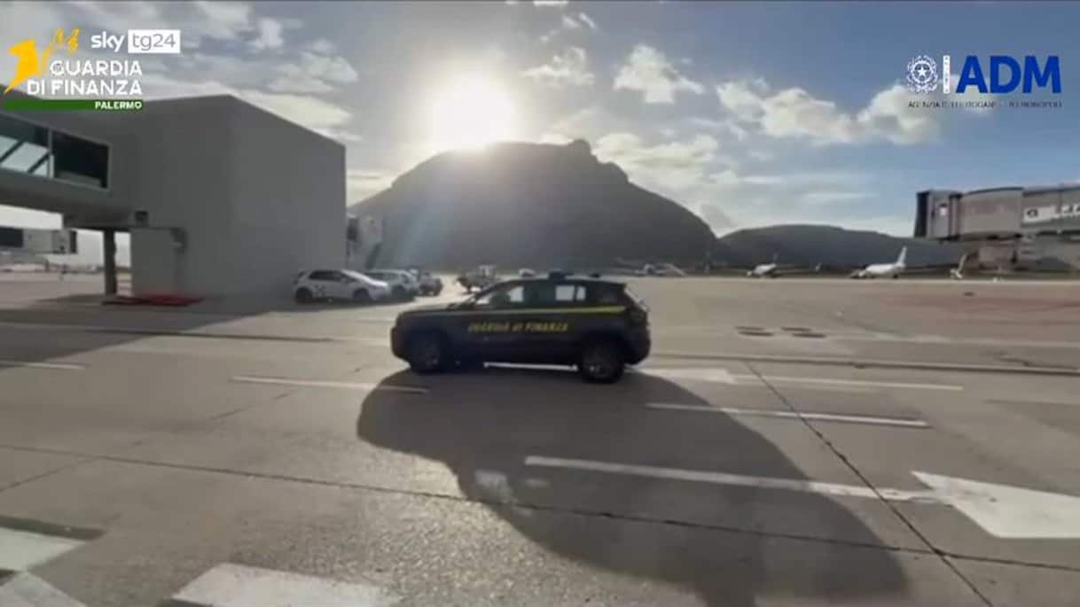 Coralli in valigia, due denunciati all'aeroporto di Palermo